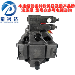 A10V柱塞泵