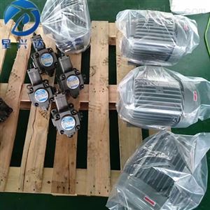 20V6A叶片泵